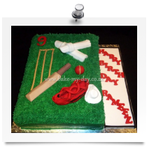 Cricket cake (2)