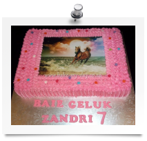 Horse cake (4)