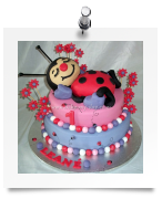 Ladybug cake (large)